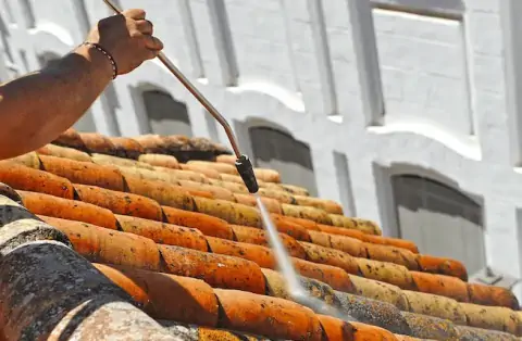 Nettoyage de toitures - Saché